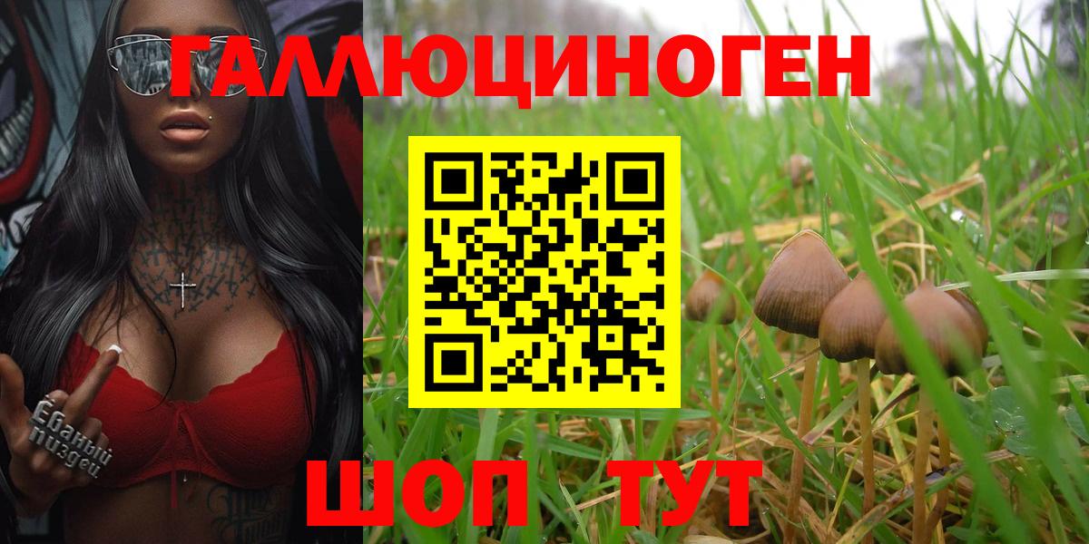 Богородск  купить  сайты  Вход с VPN  Псилоцибиновые грибы прущие грибы 