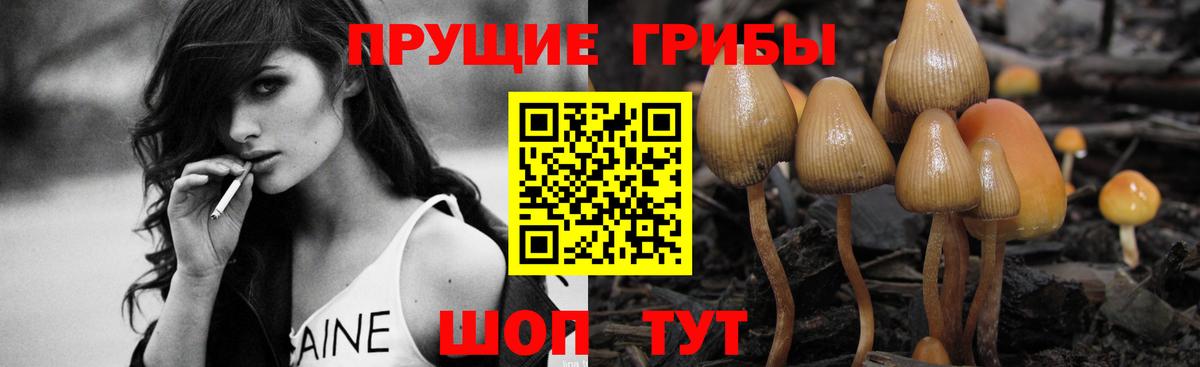 Псилоцибиновые грибы Magic Shrooms Богородск